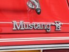 Thumbnail Photo 62 for 1976 Ford Mustang